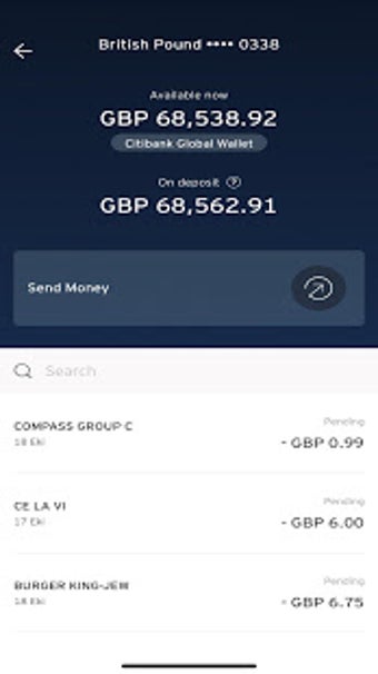 Image 1 for Citi Mobile UK