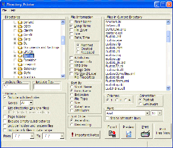 Image 0 for Directory Printer