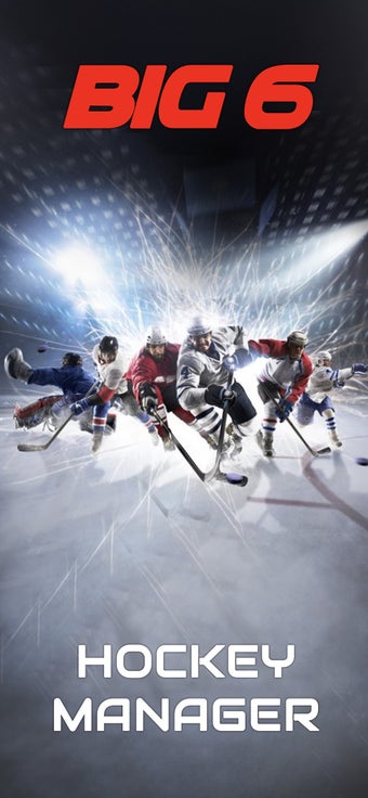 Imagen 3 para Big6: Hockey Manager