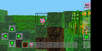 Imagen 1 para Minicraft