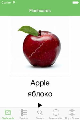 Image 0 for Russian Flashcards with P…
