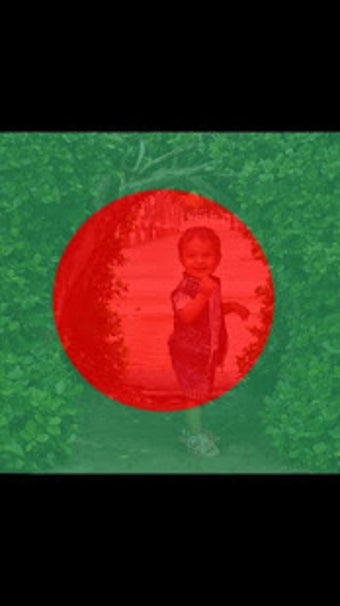 Image 0 for Bangladesh Flag Profile P…