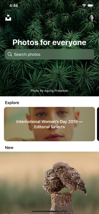 Imagen 0 para Unsplash