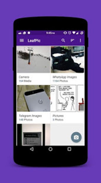 Imagen 0 para Gallery-Show hidden Image…