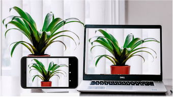 Image 1 for Iriun 4K Webcam for PC an…