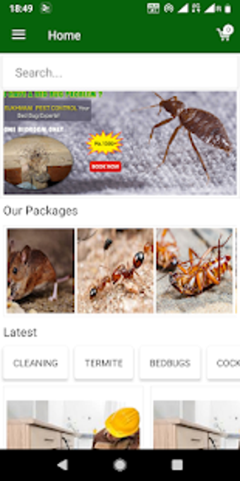 Image 2 for Pest Control