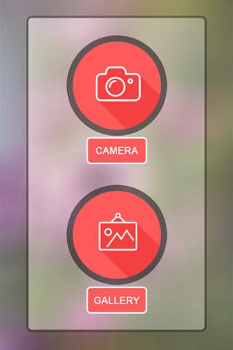 Image 0 for Photo BackGround Changer