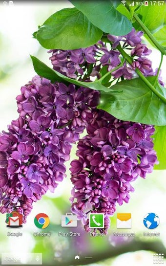 Imagen 2 para Lilac live wallpaper