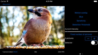 Image 0 for MotionShutter for Sony Ca…