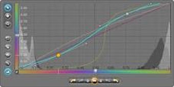Image 0 for Fresh Curves