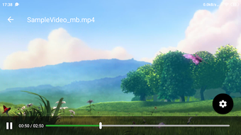 Image 0 for MVP - Minimalist Video Pl…