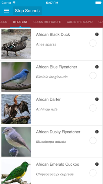 Imagen 2 para African Birds and Sounds