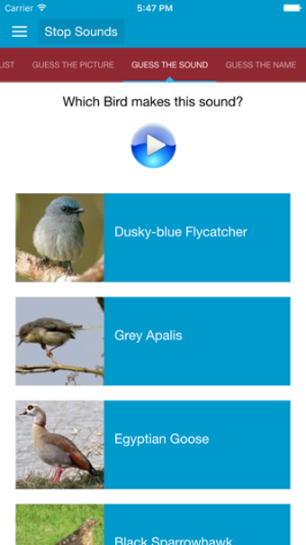 Imagen 3 para African Birds and Sounds