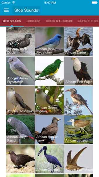 Imagen 0 para African Birds and Sounds