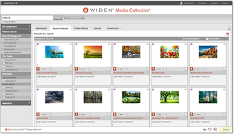 Image 0 for Widen Media Collective