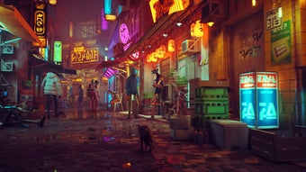 Image 0 for Stray