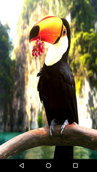 Image 2 for Animal Ringtones