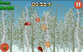 Image 0 for Fruits Cut