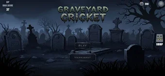 Image 0 for Graveyard Cricket 2D