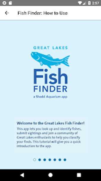 Image 1 for Great Lakes Fish Finder