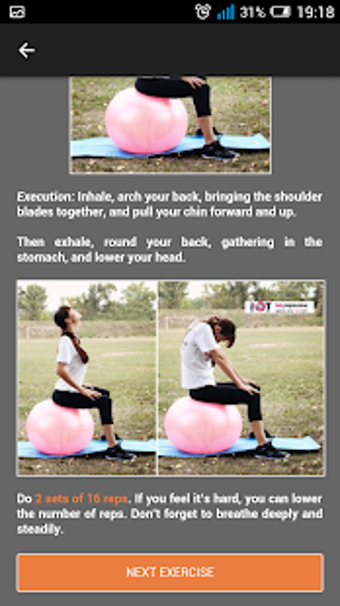 Image 3 for Back Pain Exercises