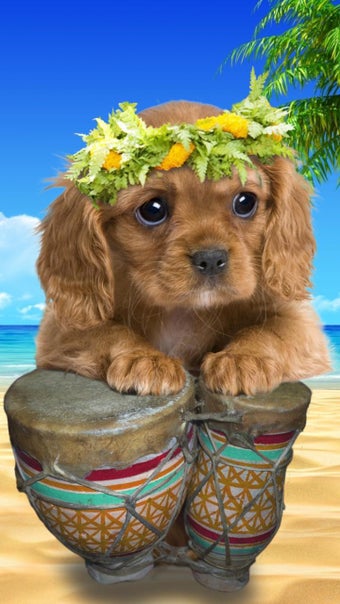 Image 3 for Talking puppy