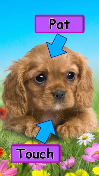 Image 1 for Talking puppy