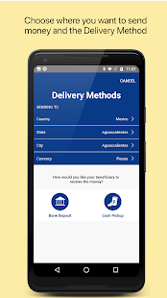 Image 0 for Girosol Money Transfer