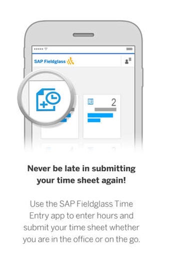 Image 0 for SAP Fieldglass Time Entry