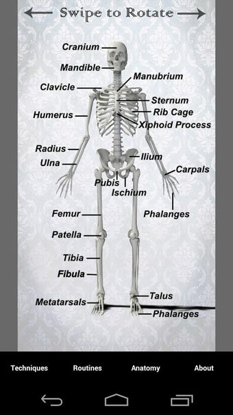 Imagen 3 para Massage Techniques