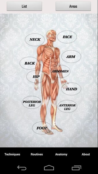 Imagen 2 para Massage Techniques