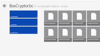 Image 0 for Boxcryptor Classic for Wi…