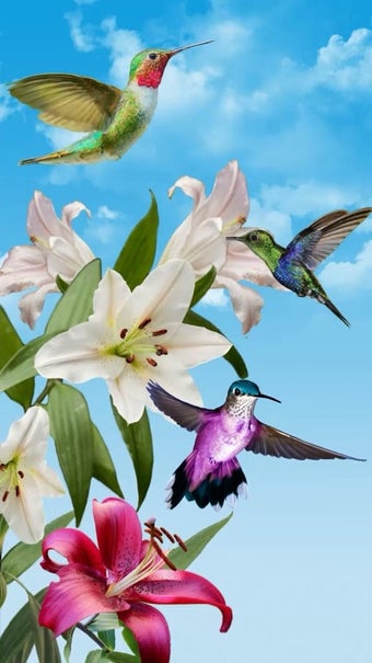 Image 2 for Birds Live Wallpaper