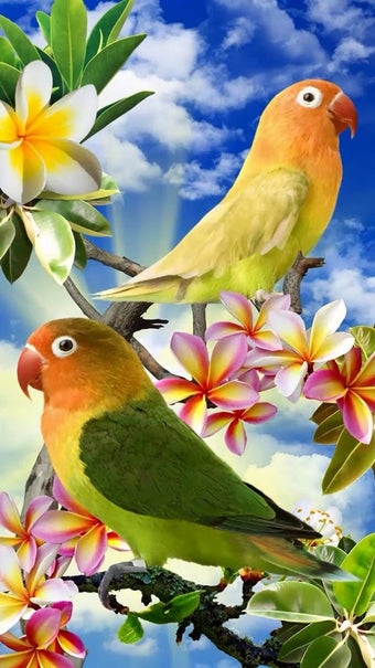 Image 1 for Birds Live Wallpaper