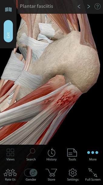 Imagen 1 para Muscle Premium - Human An…
