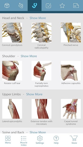 Imagen 0 para Muscle Premium - Human An…