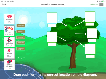Image 3 for CellEnergy Photosynthesis…
