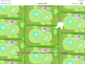 Image 0 for CellEnergy Photosynthesis…