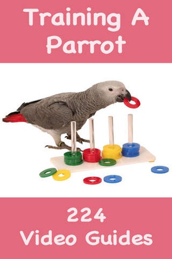 Image 0 for Training A Parrot