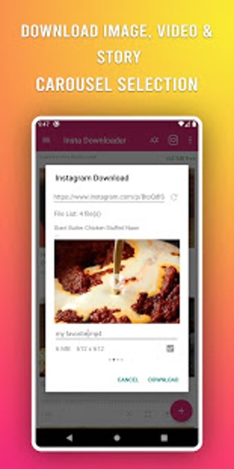 Imagen 0 para Free Instagram Downloader