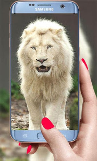 Imagen 2 para Lion Live Wallpaper 2019:…