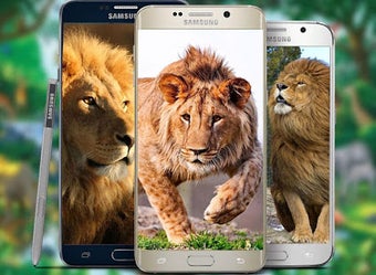 Imagen 1 para Lion Live Wallpaper 2019:…