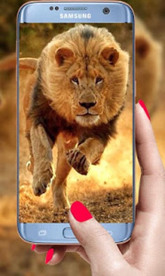 Imagen 2 para Lion Live Wallpaper 2019:…