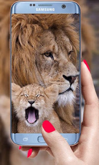 Imagen 0 para Lion Live Wallpaper 2019:…