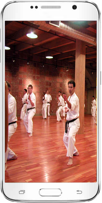 Imagen 1 para Karate