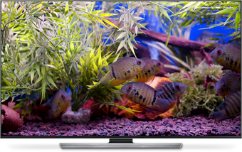 Imagen 2 para Aquarium for Chromecast T…