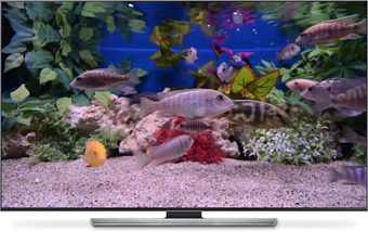 Imagen 0 para Aquarium for Chromecast T…