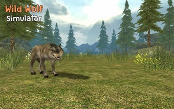 Imagen 1 para Wild Wolf Simulator