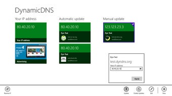 Imagen 1 para DynamicDNS for Windows 8