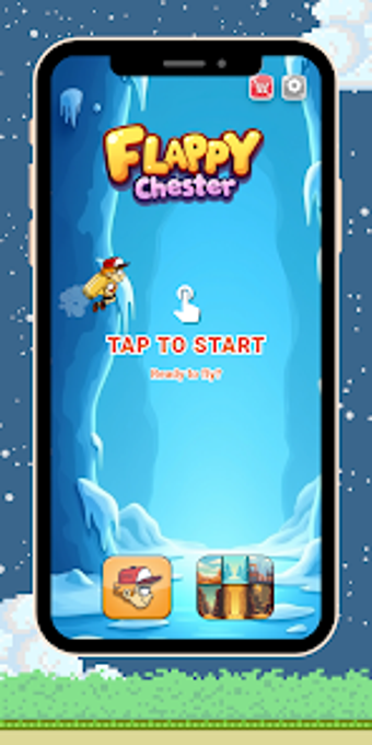 Imagen 0 para Flappy Chester